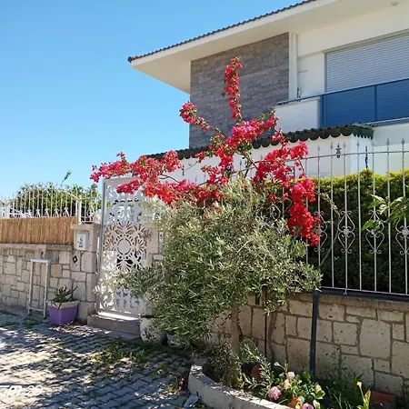 Sifne * Cesme